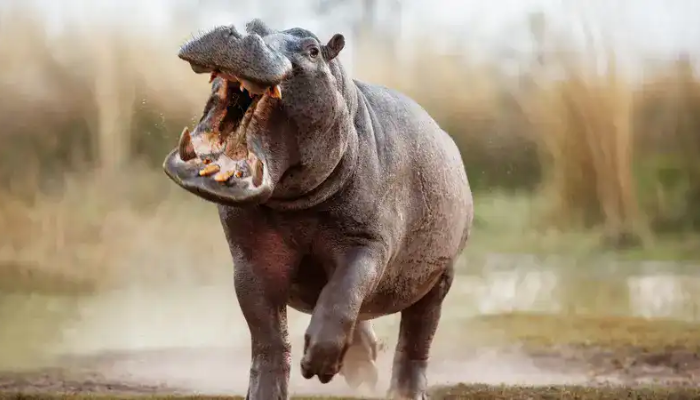 wordhippo 5 letter words